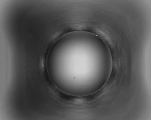 X0000099940115200805301225
