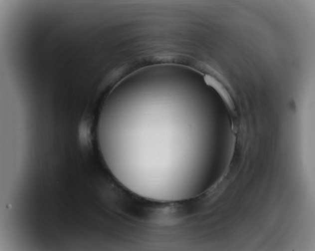 X0000099940116200805301225