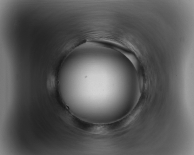 X0000099940117200805301225