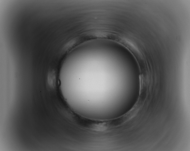 X0000099940120200805301224