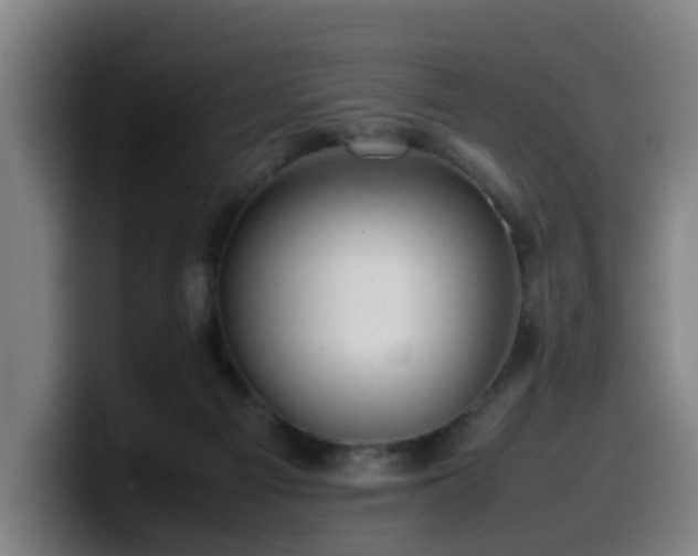 X0000099940121200805301224