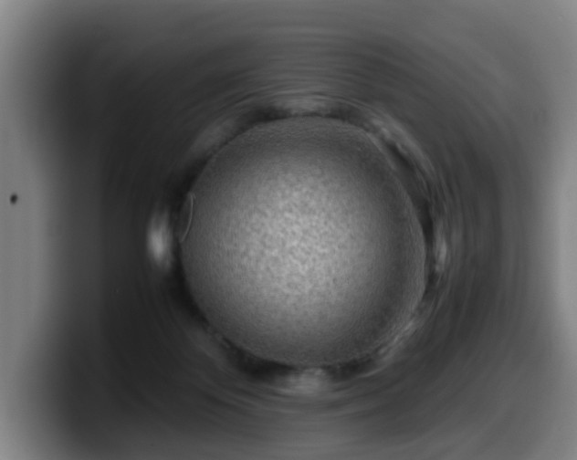 X0000099940124200805301224