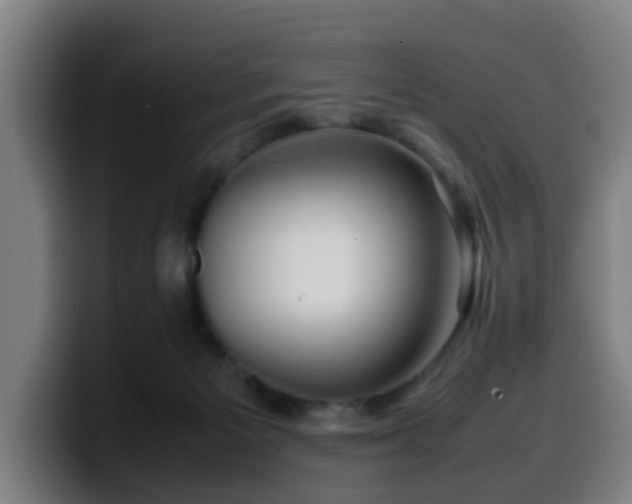 X0000099940125200805301224