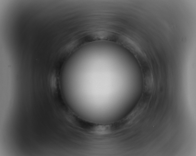 X0000099940126200805301224