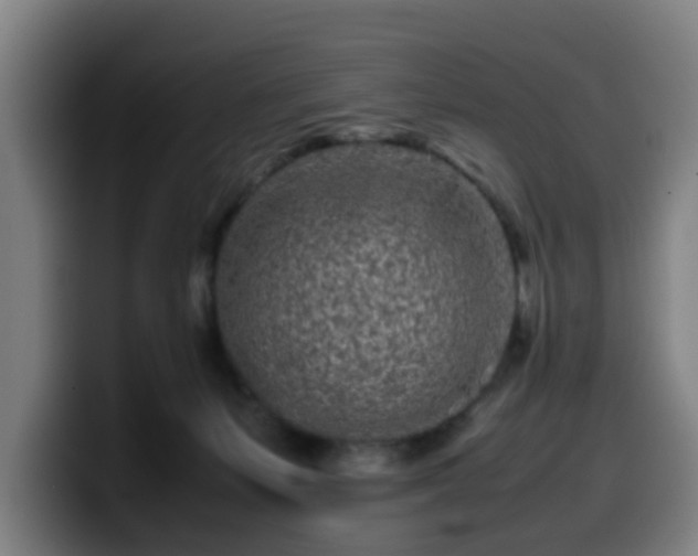 X0000099940127200805301224