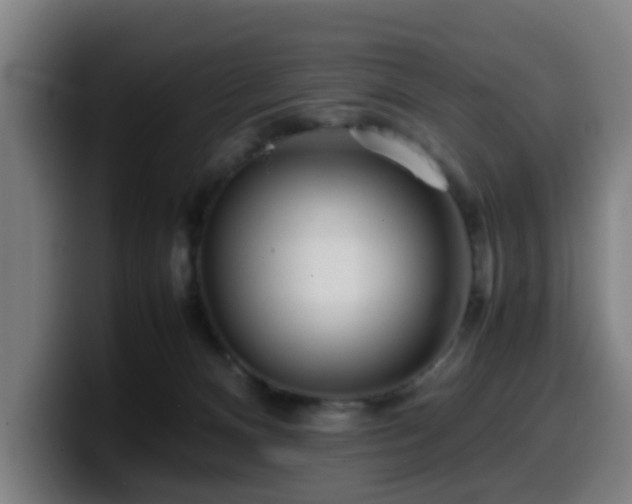 X0000099940128200805301224