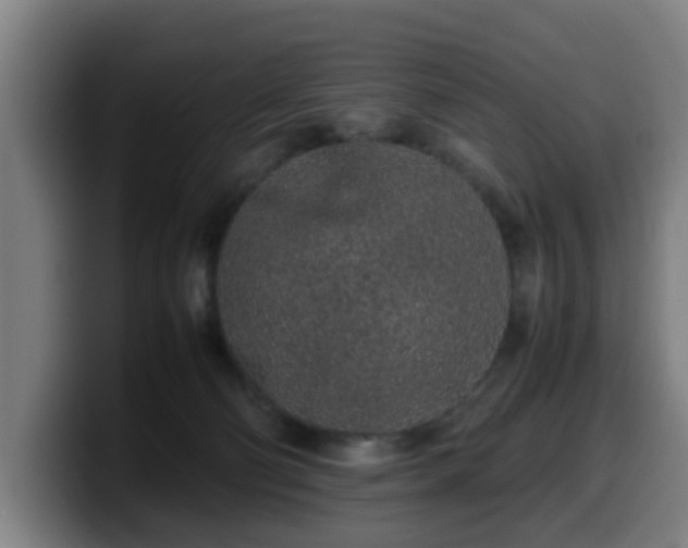 X0000099940130200805301224