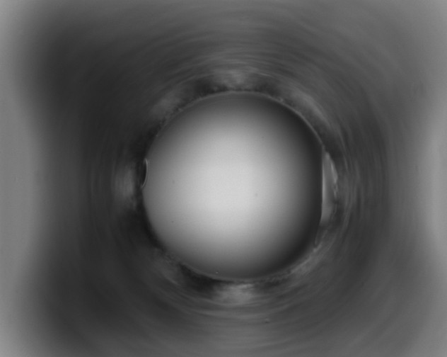 X0000099940132200805301224