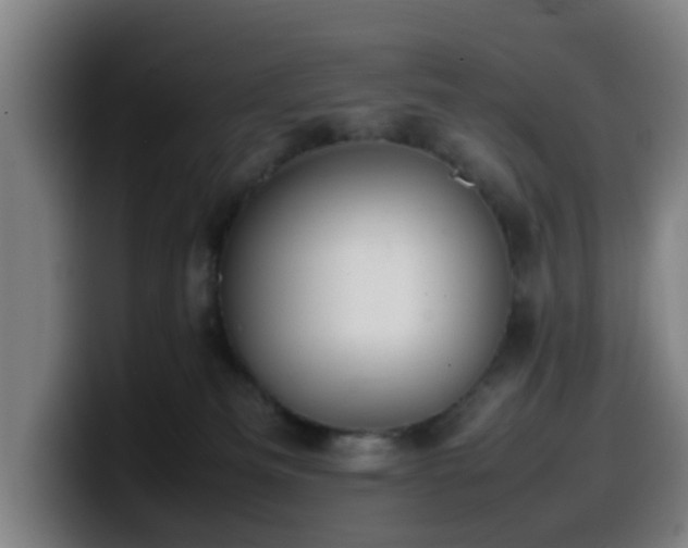 X0000099940133200805301224