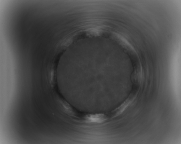 X0000099940134200805301224