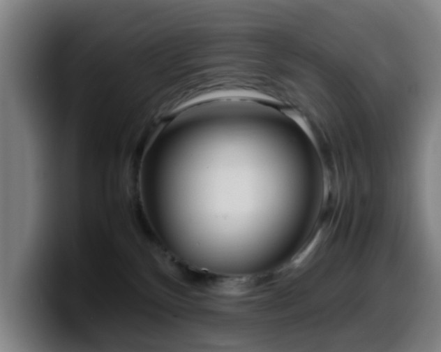 X0000099940136200805301224