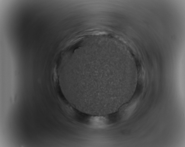 X0000099940137200805301224