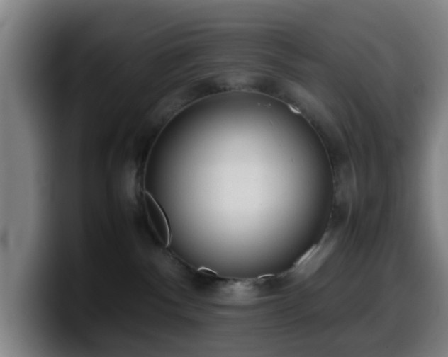 X0000099940140200805301224