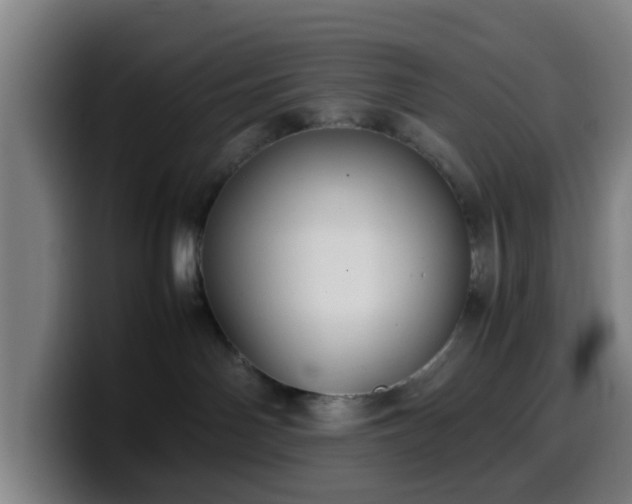 X0000099940142200805301224