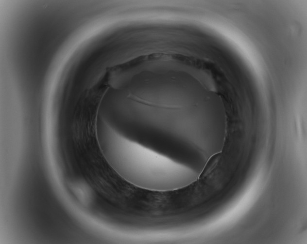 X0000099940143200805301224