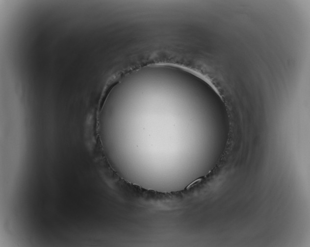 X0000099940144200805301224