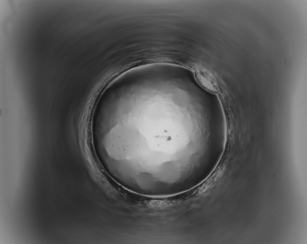 X0000099940145200805301224