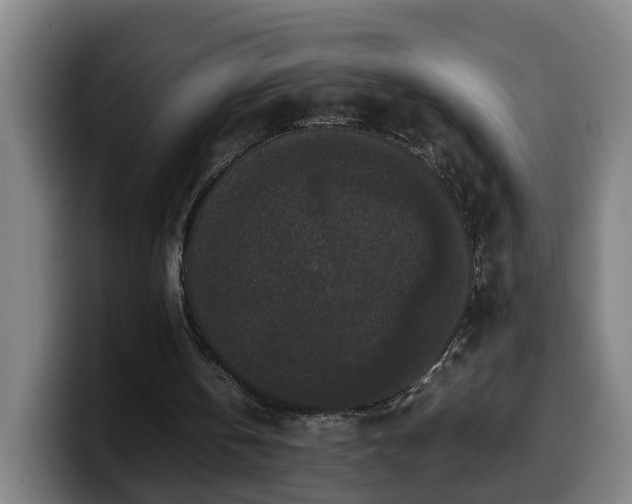 X0000099940146200805301224