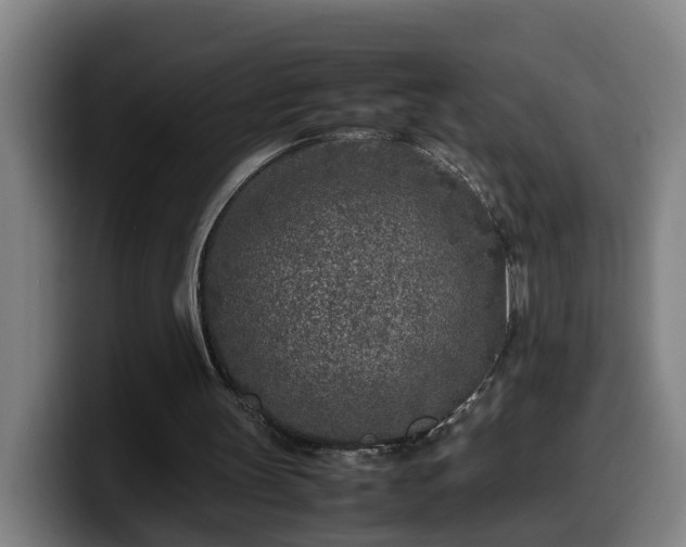 X0000099940147200805301224