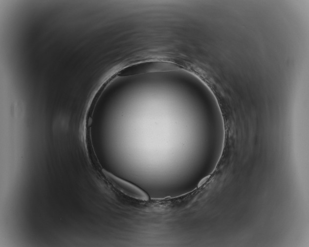 X0000099940148200805301224