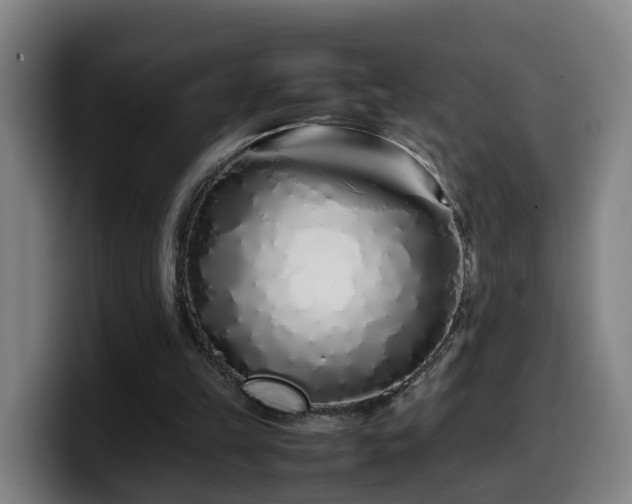 X0000099940149200805301224