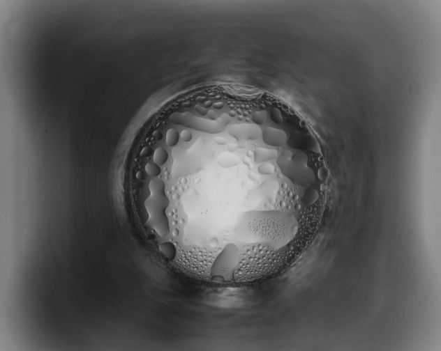 X0000099940151200805301224