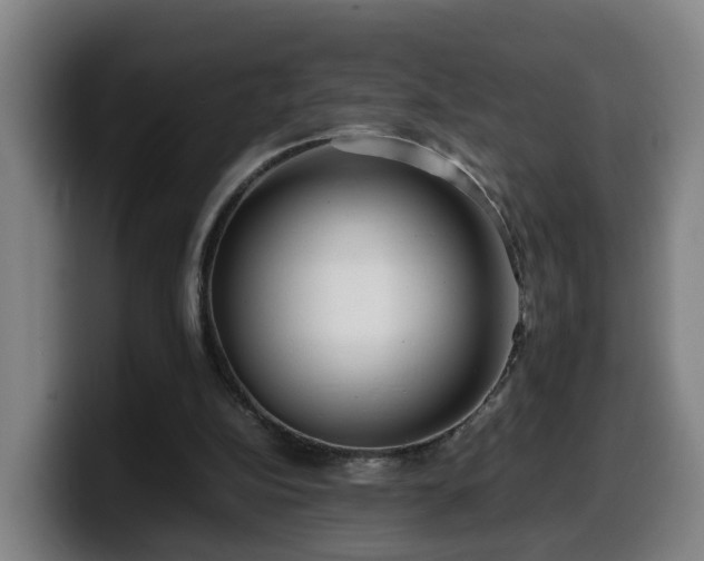 X0000099940152200805301224