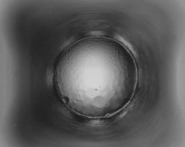 X0000099940153200805301224