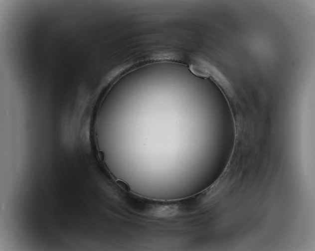X0000099940155200805301224