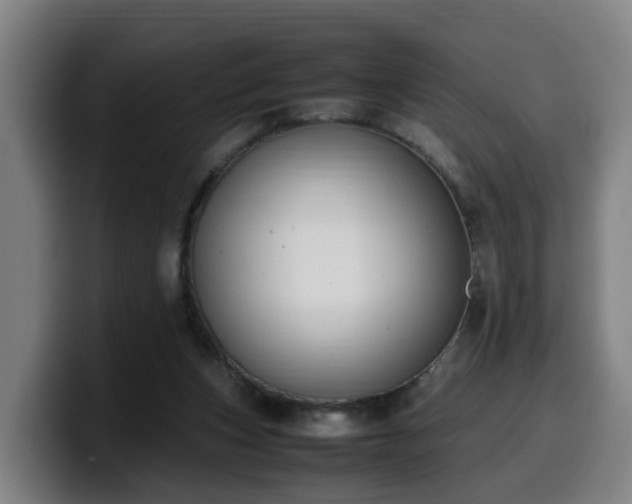 X0000099940159200805301224