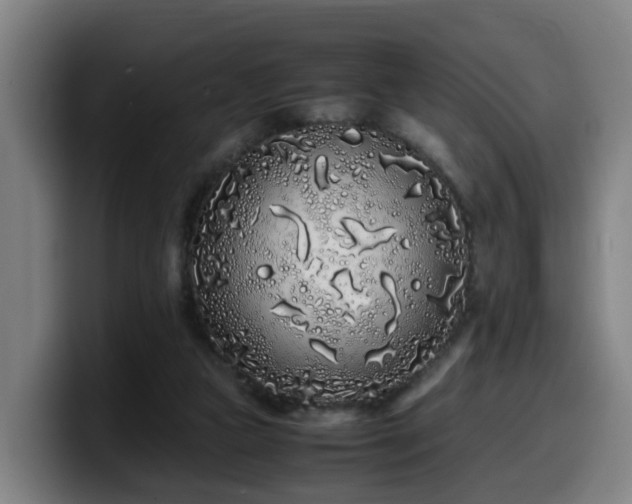 X0000099940161200805301224
