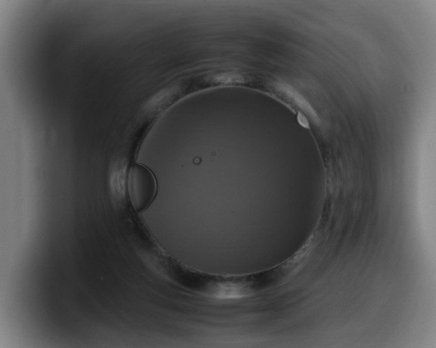 X0000099940163200805301224