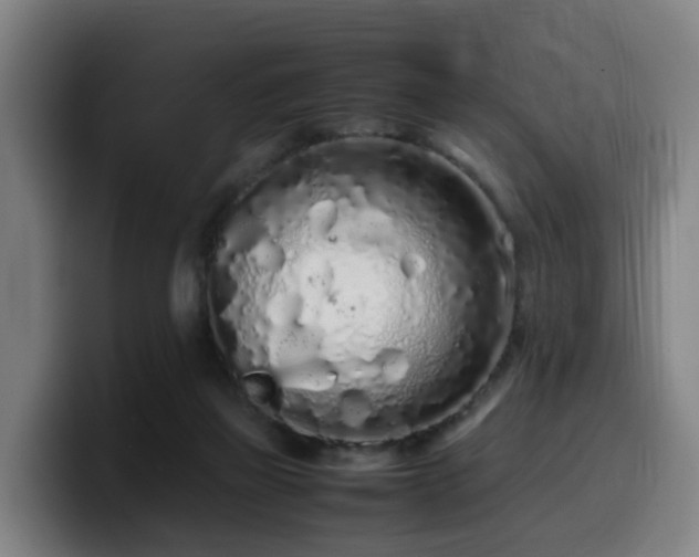 X0000099940165200805301224
