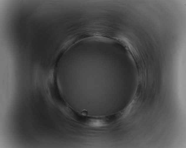 X0000099940167200805301224
