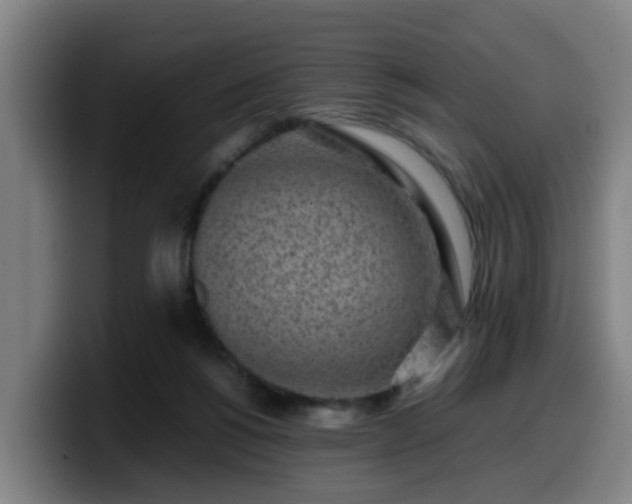 X0000099940168200805301224