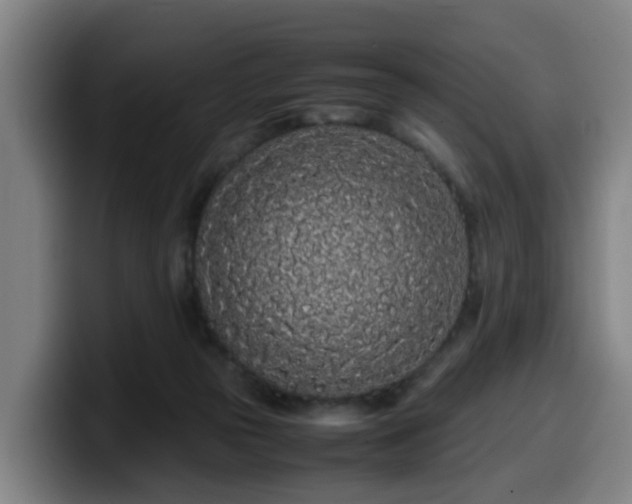X0000099940169200805301224