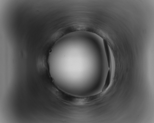 X0000099940170200805301224