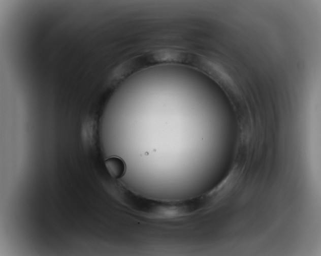 X0000099940171200805301224