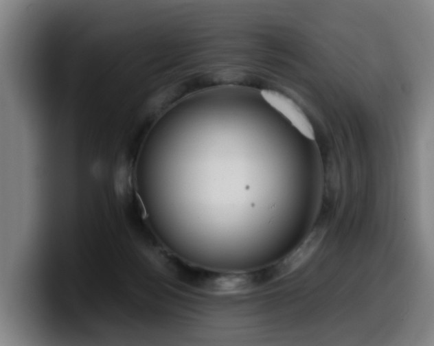 X0000099940172200805301224