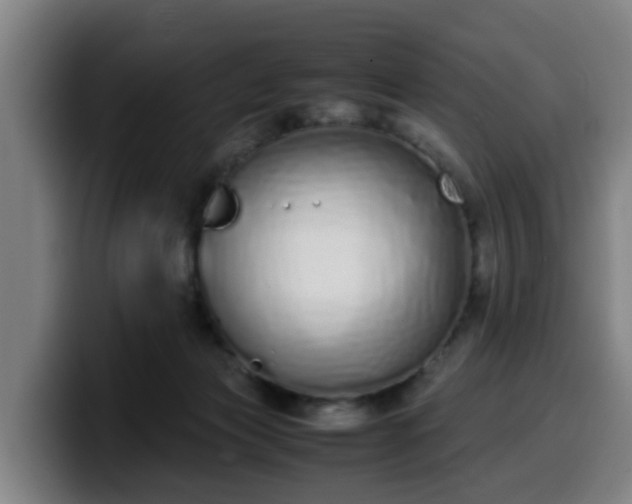 X0000099940173200805301224