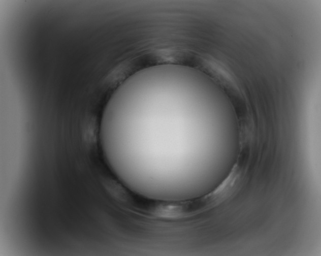X0000099940174200805301224