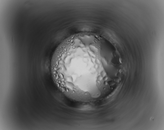 X0000099940175200805301224