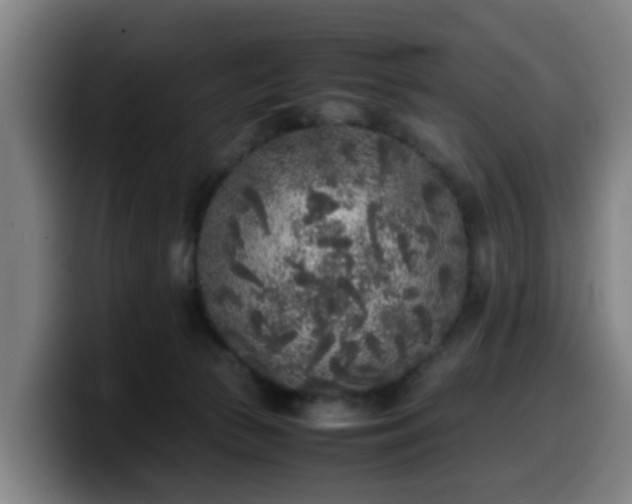 X0000099940177200805301224