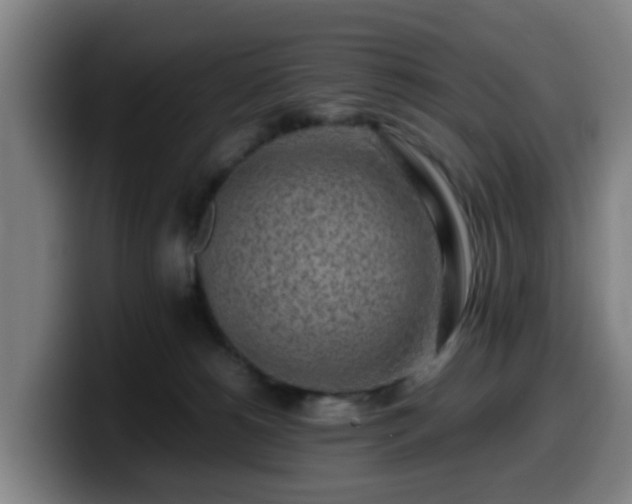 X0000099940180200805301224