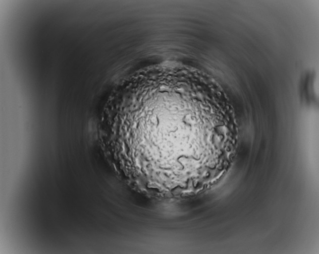 X0000099940182200805301224