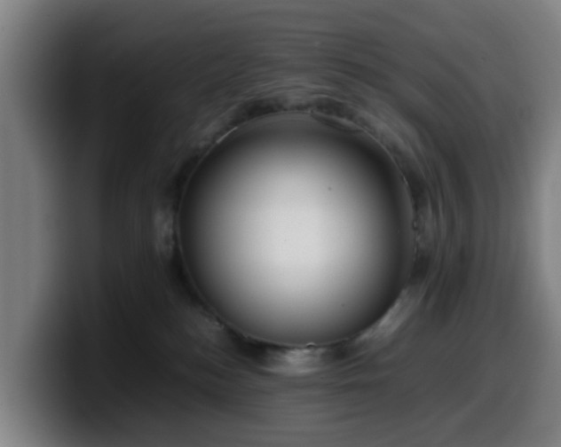 X0000099940184200805301224