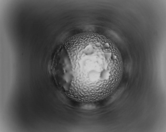 X0000099940185200805301224