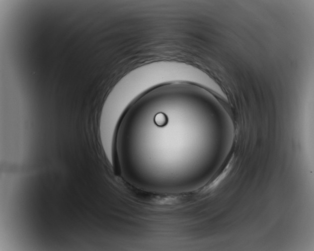 X0000099940186200805301224