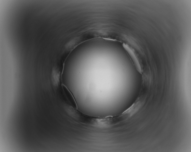 X0000099940188200805301224