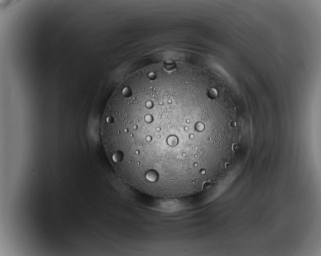 X0000099940189200805301224
